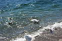 Lago di Como_038